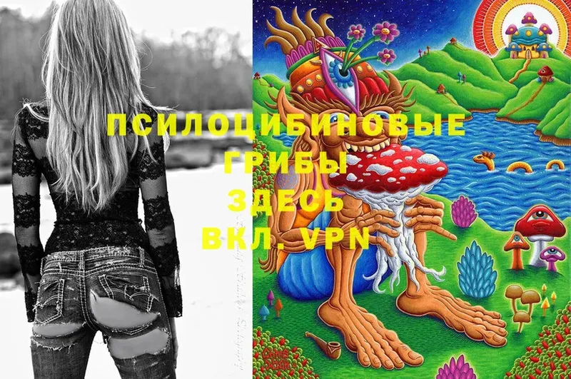 Псилоцибиновые грибы мицелий  купить  цена  Азнакаево 