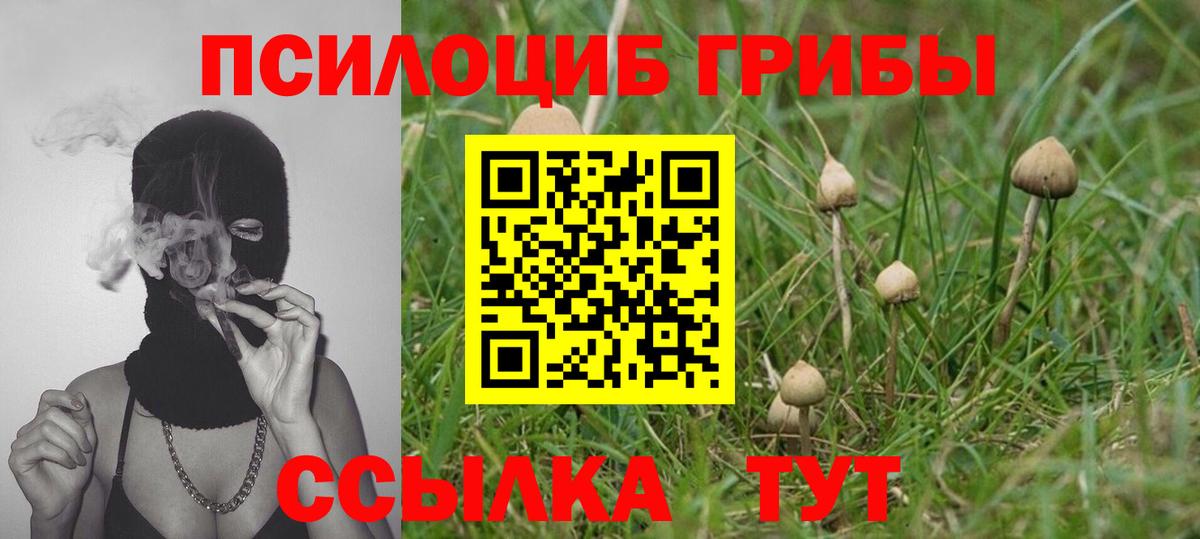 Псилоцибиновые грибы прущие грибы Азнакаево