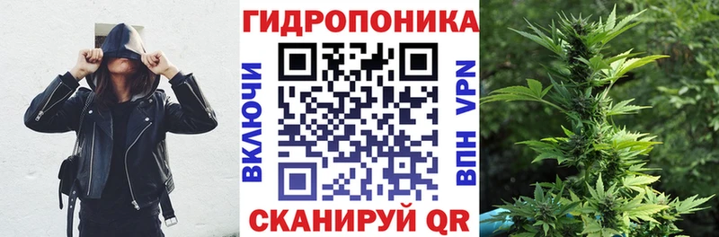 Конопля гибрид  Азнакаево 